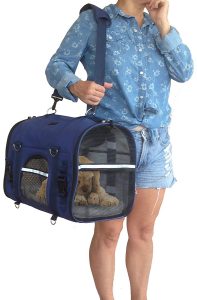 airplane dog carrier